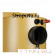 Твердотопливный котел Stropuva S20U